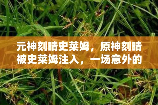 元神刻晴史莱姆，原神刻晴被史莱姆注入，一场意外的冒险