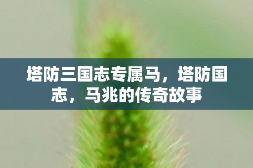 塔防三国志专属马，塔防国志，马兆的传奇故事