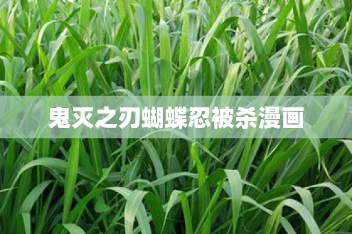 鬼灭之刃蝴蝶忍被杀漫画