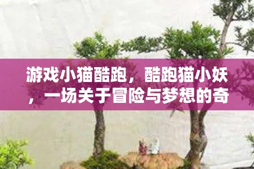 游戏小猫酷跑，酷跑猫小妖，一场关于冒险与梦想的奇妙旅程