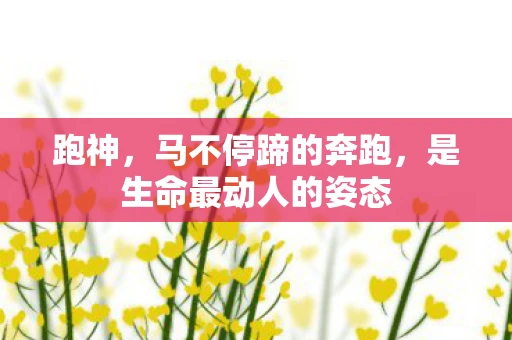 跑神，马不停蹄的奔跑，是生命最动人的姿态