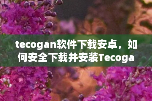 tecogan软件下载安卓，如何安全下载并安装Tecogan软件？