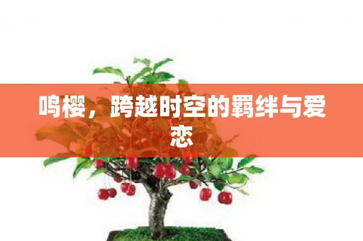 鸣樱，跨越时空的羁绊与爱恋