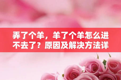 弄了个羊，羊了个羊怎么进不去了？原因及解决方法详解