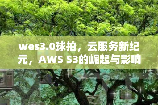 wes3.0球拍，云服务新纪元，AWS S3的崛起与影响