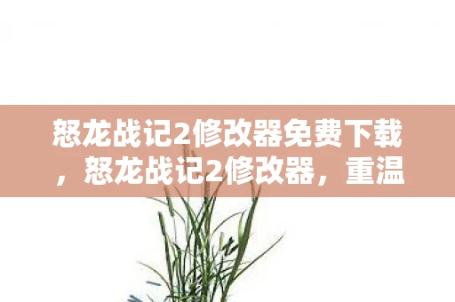 怒龙战记2修改器免费下载，怒龙战记2修改器，重温经典，解锁无限可能