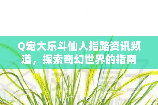 Q宠大乐斗仙人指路资讯频道图片
