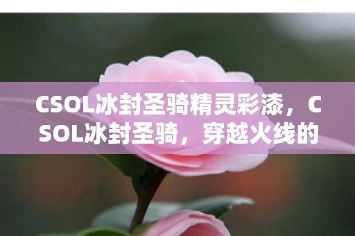 CSOL冰封圣骑精灵彩漆，CSOL冰封圣骑，穿越火线的传奇骑士