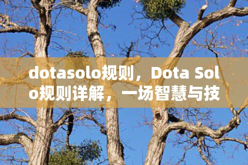 dotasolo规则，Dota Solo规则详解，一场智慧与技巧的较量