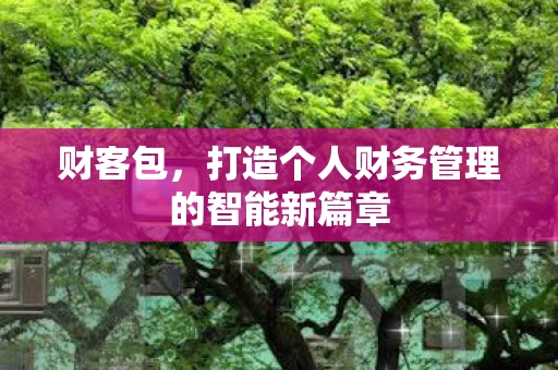 财客包，打造个人财务管理的智能新篇章