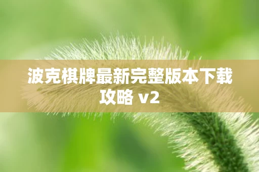 波克棋牌最新完整版本下载攻略 v2图片