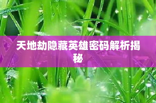 天地劫隐藏英雄密码解析揭秘图片