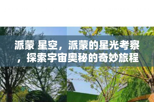 派蒙 星空，派蒙的星光考察，探索宇宙奥秘的奇妙旅程