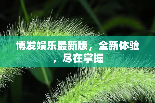 博发娱乐最新版图片