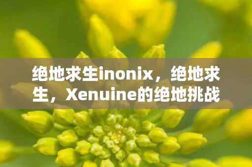 绝地求生inonix，绝地求生，Xenuine的绝地挑战