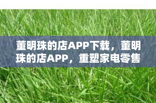 董明珠的店APP下载，董明珠的店APP，重塑家电零售的新模式