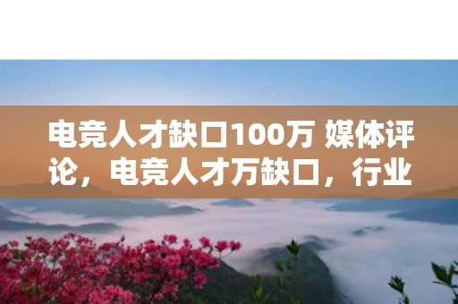 电竞人才缺口100万 媒体评论，电竞人才万缺口，行业爆发式增长背后的挑战与机遇