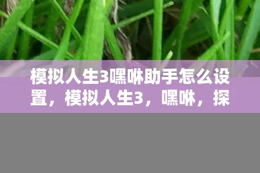模拟人生3嘿咻助手怎么设置,模拟人生3,嘿咻,探索虚拟世界的性爱奥秘 模拟人生3嘿咻助手怎么设置,模拟人生3,嘿咻,探索虚拟世界的性爱奥秘