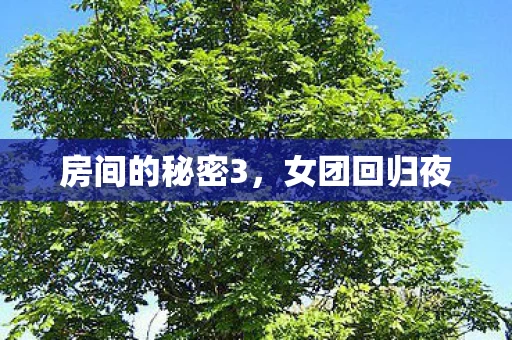 房间的秘密3图片
