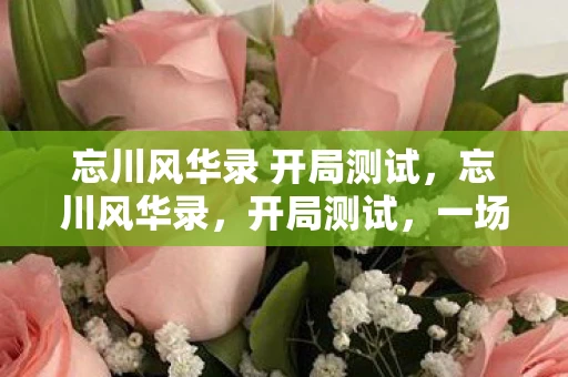 忘川风华录 开局测试，忘川风华录，开局测试，一场穿越时空的盛宴