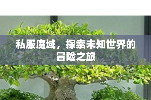 私服魔域,探索未知世界的冒险之旅 私服魔域,探索未知世界的冒险之旅