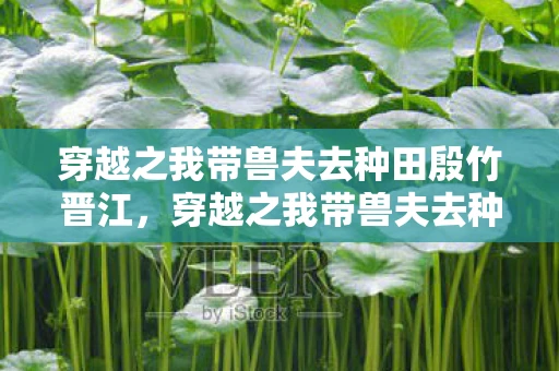 穿越之我带兽夫去种田殷竹晋江,穿越之我带兽夫去种田 穿越之我带兽夫去种田殷竹晋江,穿越之我带兽夫去种田