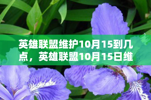 英雄联盟维护10月15到几点，英雄联盟10月15日维护公告，新版本更新内容详解