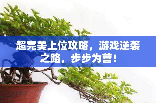 超完美上位攻略图片