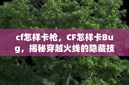 cf怎样卡枪,CF怎样卡Bug,揭秘穿越火线的隐藏技巧 cf怎样卡枪,CF怎样卡Bug,揭秘穿越火线的隐藏技巧