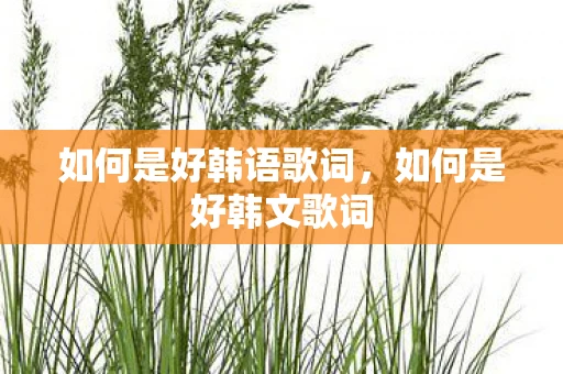 如何是好韩语歌词，如何是好韩文歌词