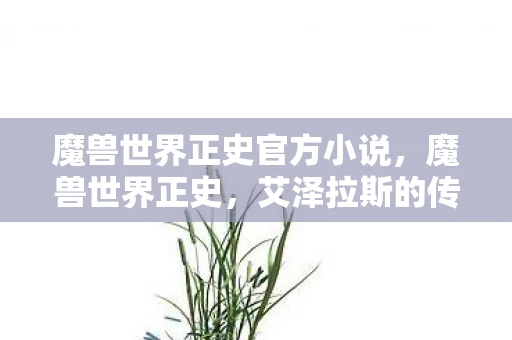 魔兽世界正史官方小说，魔兽世界正史，艾泽拉斯的传奇故事