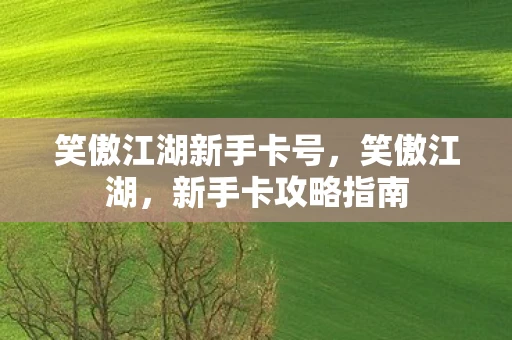 笑傲江湖新手卡号，笑傲江湖，新手卡攻略指南