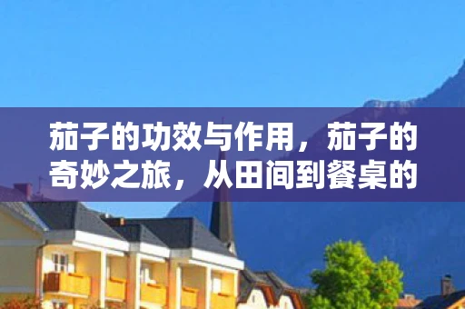 茄子的功效与作用,茄子的奇妙之旅,从田间到餐桌的蔬菜传奇 茄子的功效与作用,茄子的奇妙之旅,从田间到餐桌的蔬菜传奇