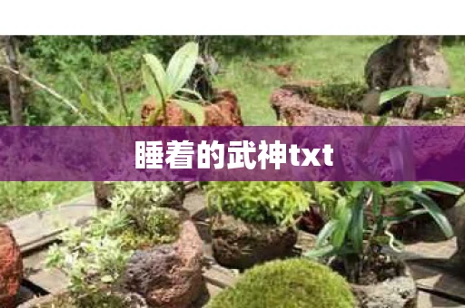 睡着的武神txt 睡着的武神txt