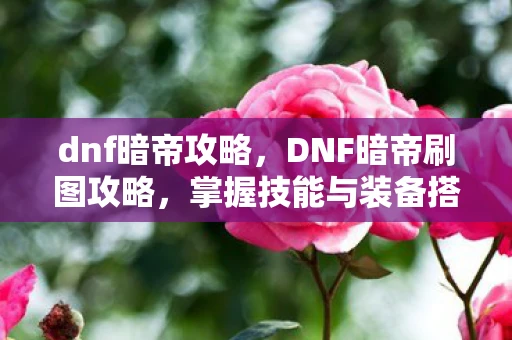 dnf暗帝攻略，DNF暗帝刷图攻略，掌握技能与装备搭配，轻松通关各种副本