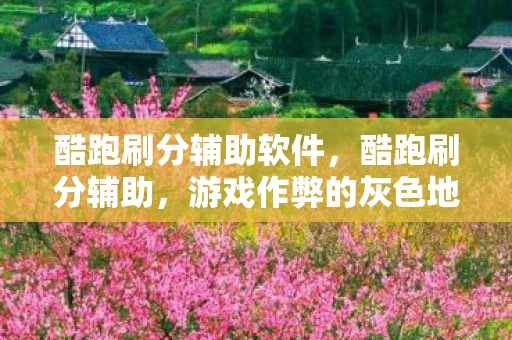 酷跑刷分辅助软件，酷跑刷分辅助，游戏作弊的灰色地带