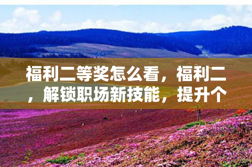 福利二等奖怎么看，福利二，解锁职场新技能，提升个人竞争力