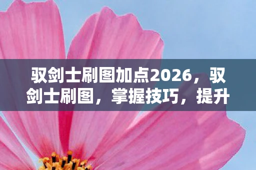 驭剑士刷图加点2026，驭剑士刷图，掌握技巧，提升效率