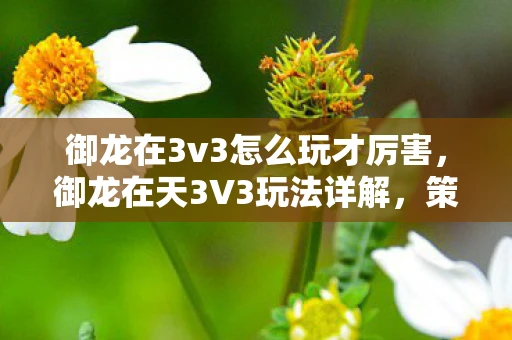御龙在3v3怎么玩才厉害,御龙在天3V3玩法详解,策略与技巧的全面指南 御龙在3v3怎么玩才厉害,御龙在天3V3玩法详解,策略与技巧的全面指南