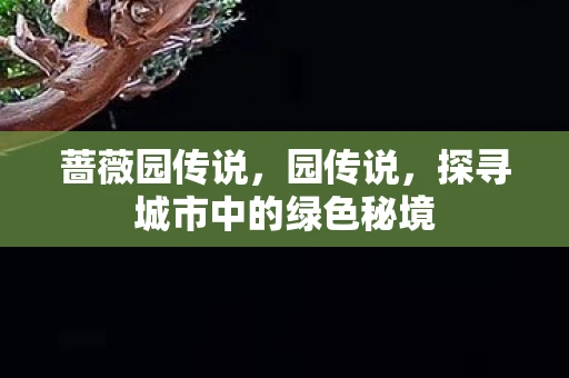 蔷薇园传说，园传说，探寻城市中的绿色秘境