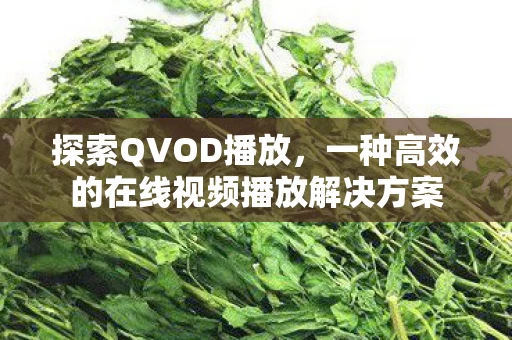 一种高效的在线视频播放解决方案图片