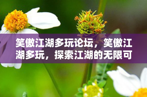 笑傲江湖多玩论坛，笑傲江湖多玩，探索江湖的无限可能