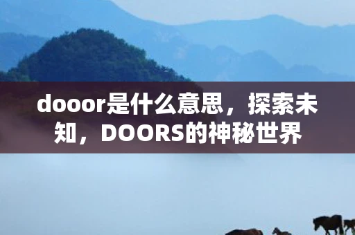 dooor是什么意思，探索未知，DOORS的神秘世界