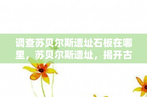 调查苏贝尔斯遗址石板在哪里,苏贝尔斯遗址,揭开古老文明的神秘面纱 调查苏贝尔斯遗址石板在哪里,苏贝尔斯遗址,揭开古老文明的神秘面纱