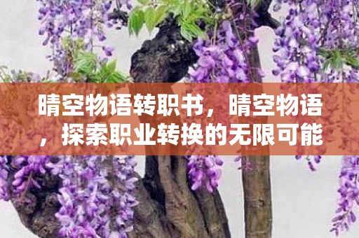 晴空物语转职书,晴空物语,探索职业转换的无限可能 晴空物语转职书,晴空物语,探索职业转换的无限可能