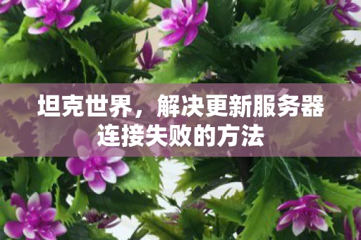 坦克世界,解决更新服务器连接失败的方法 坦克世界,解决更新服务器连接失败的方法