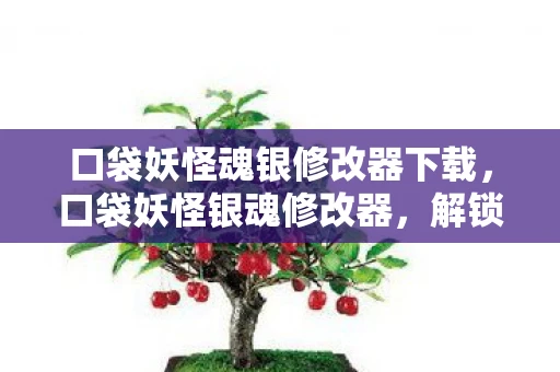 口袋妖怪魂银修改器下载,口袋妖怪银魂修改器,解锁无限可能的神奇工具 口袋妖怪魂银修改器下载,口袋妖怪银魂修改器,解锁无限可能的神奇工具