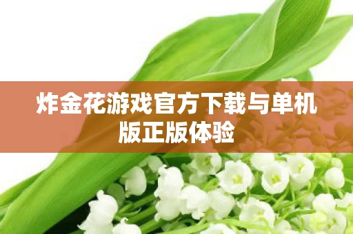 炸金花游戏官方下载与单机版正版体验图片