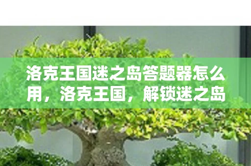 洛克王国迷之岛答题器怎么用,洛克王国,解锁迷之岛的神秘答案 洛克王国迷之岛答题器怎么用,洛克王国,解锁迷之岛的神秘答案