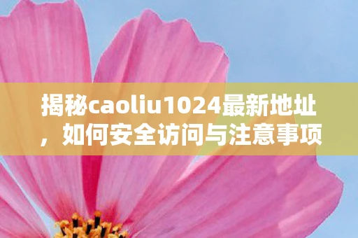 揭秘caoliu1024最新地址，如何安全访问与注意事项